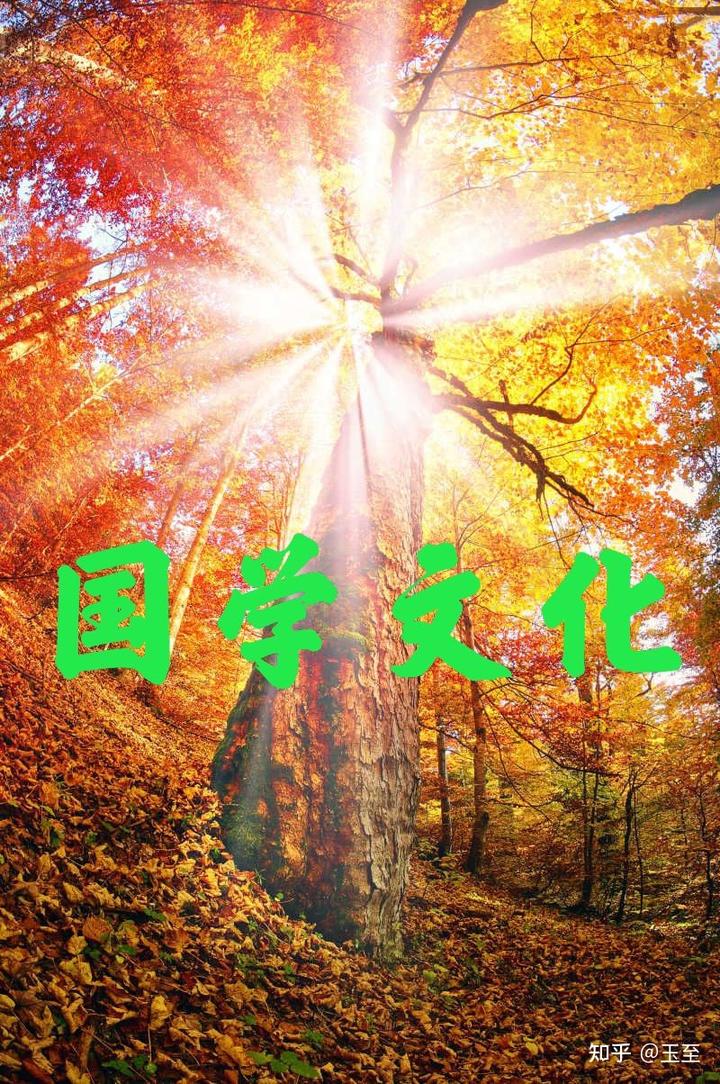 中国的国学_国学中国功夫武术操_国学中国工艺美术大师