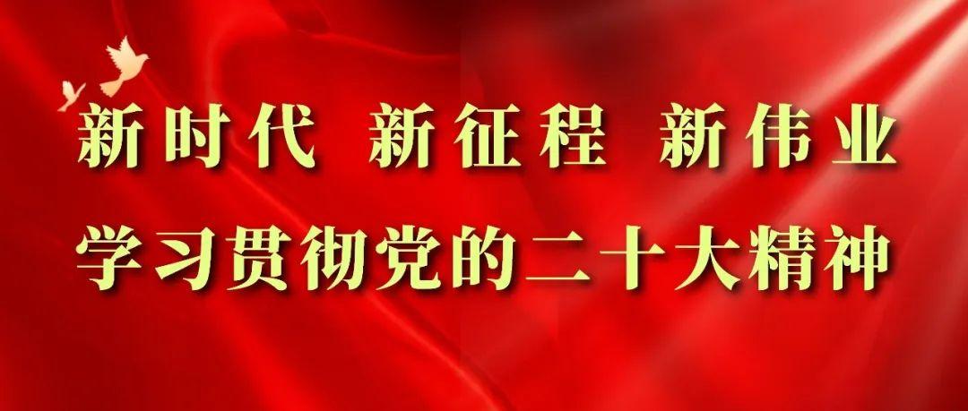 社会团体登记证书_社会团体的登记证书_社会团体证件