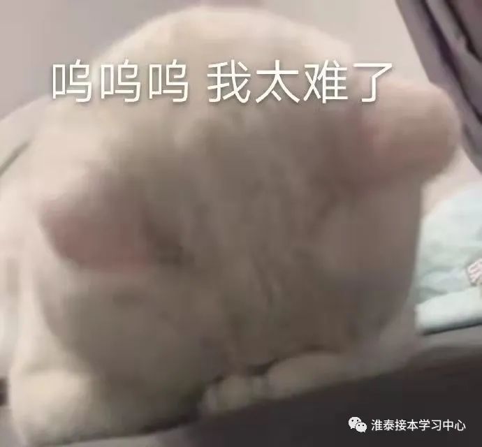 文史类专接本考试科目_文史类专接本_专接本文史