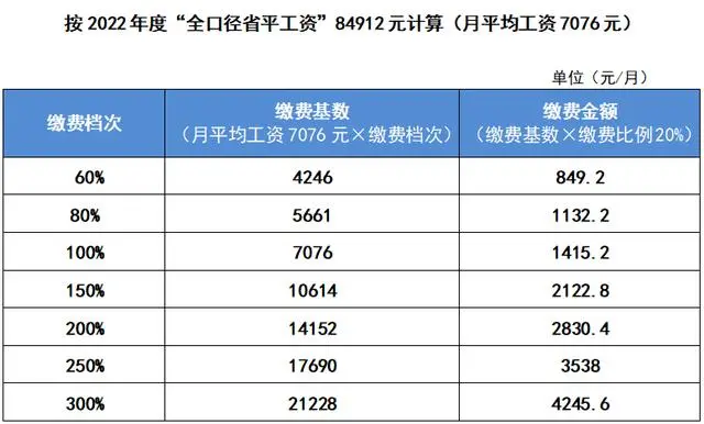 社会保险缴费比例规定_社会保险费的缴费比例_社会保险缴费标准