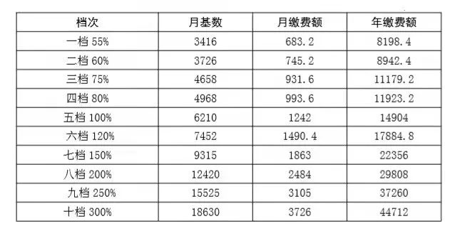 2018养老保险缴费比例_2018养老保险比例_2018社会养老保险缴费标准