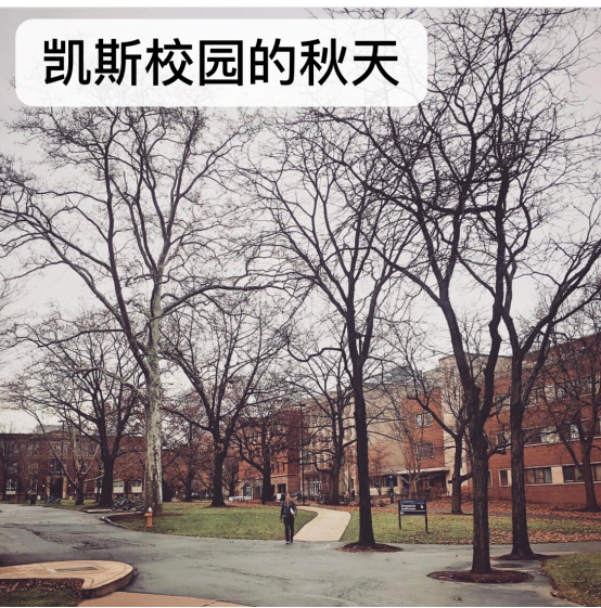 美国的大学校园生活及文化是怎样的？