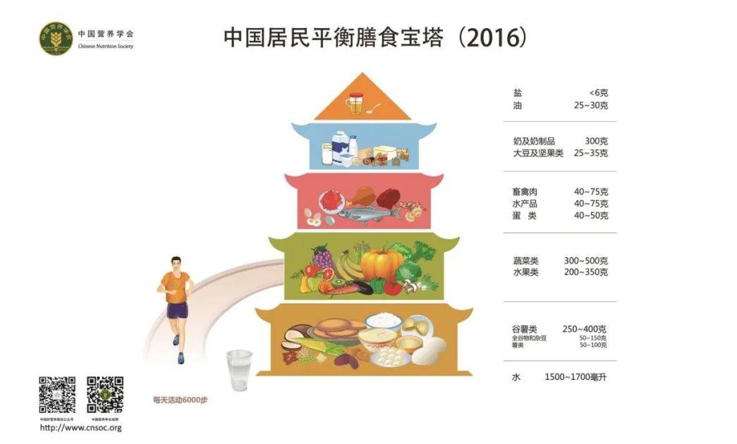 中国学生营养与健康促进网站_中国学生营养与健康的放心品牌_中国学生营养日