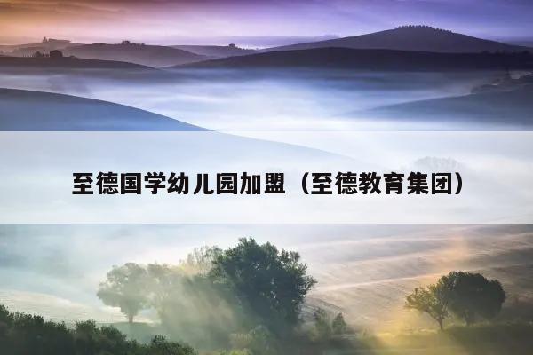 幼儿园国学教育加盟费_国学幼儿教育加盟_幼儿园国学加盟