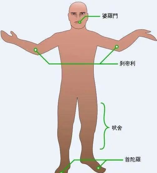 婆罗门的社会阶层_婆罗门主义_婆罗门等级制度