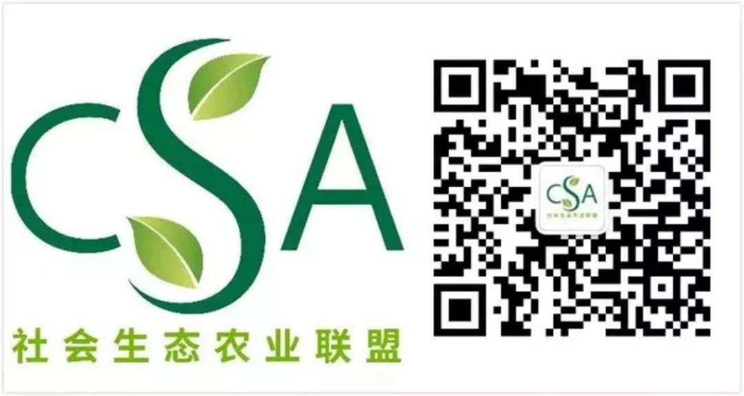 生态社会实践活动_生态社会实践心得体会_社会生态