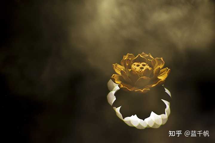 国学经典书籍有哪些_经典国学_国学经典名句