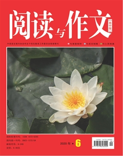 探索作文800字_科学探索作文_作文探索