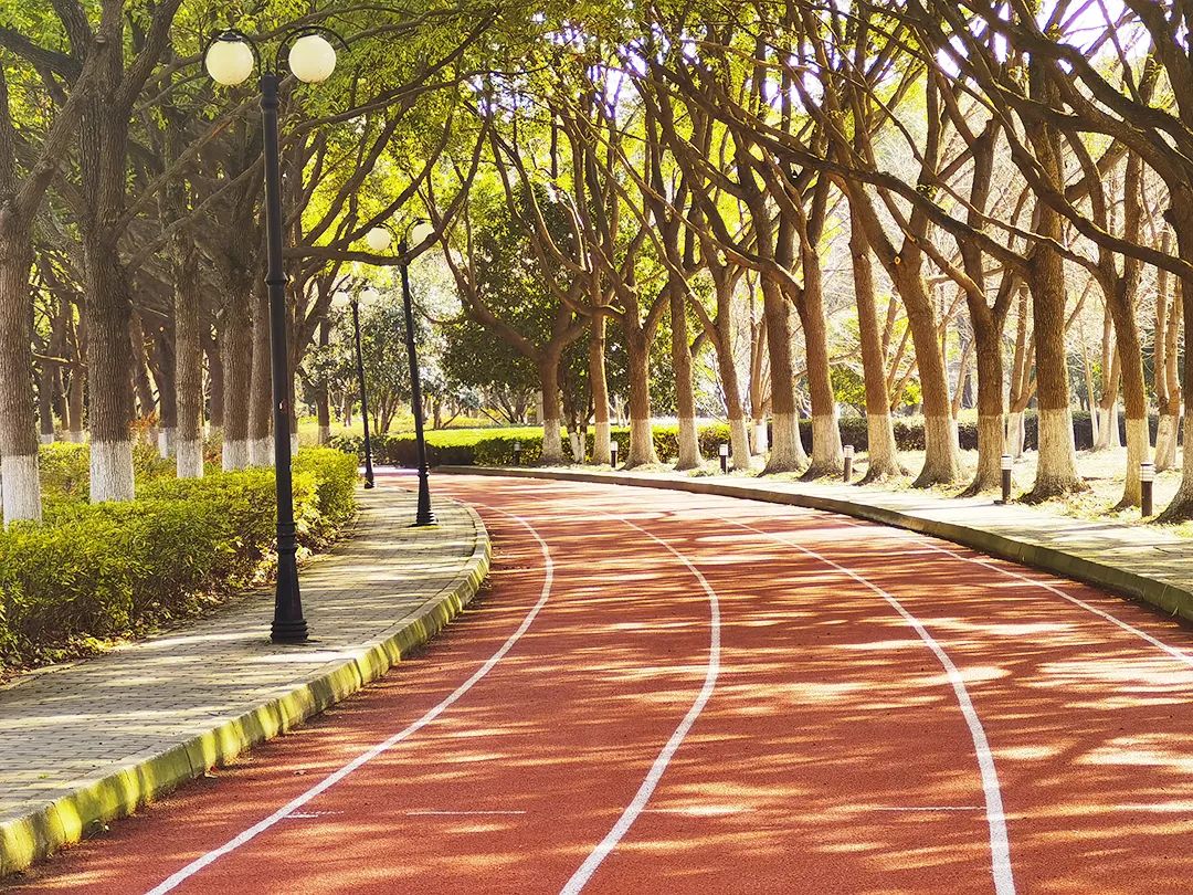 文史学院包括什么专业_潍坊学院文史学院_文史学院