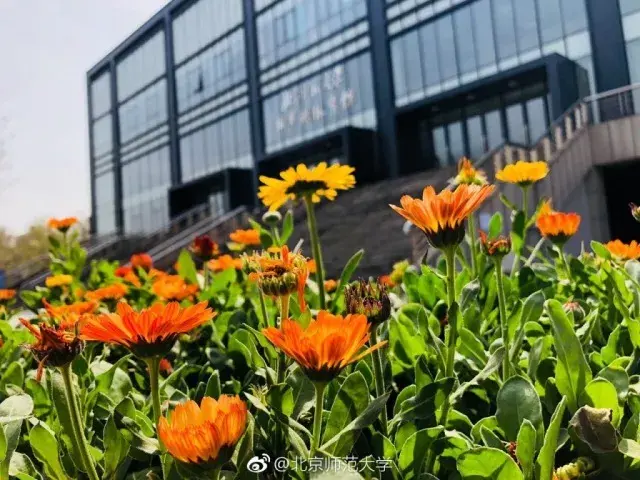 文史哲基础知识及答案_文史哲基础知识_文史哲课程