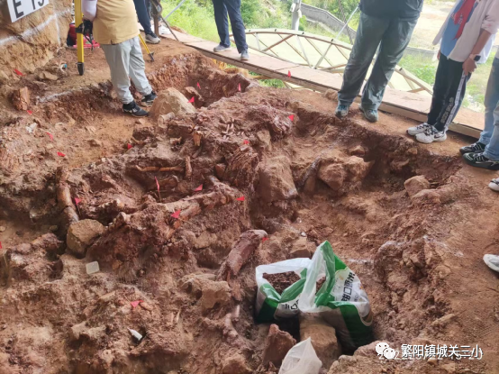探索奥秘是什么节目_探索奥秘2021_探索历史奥秘