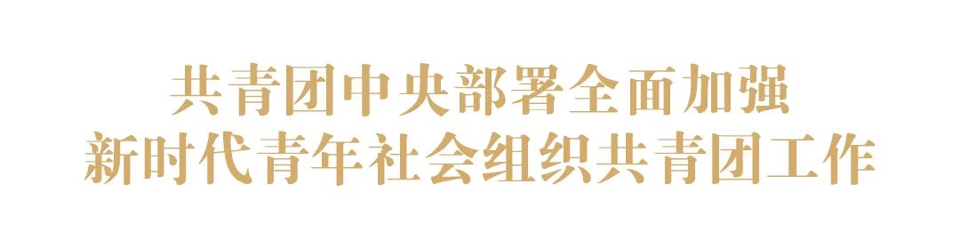 社会等社会团体_社会团体等级评估范文模板_社会团体等级评分标准