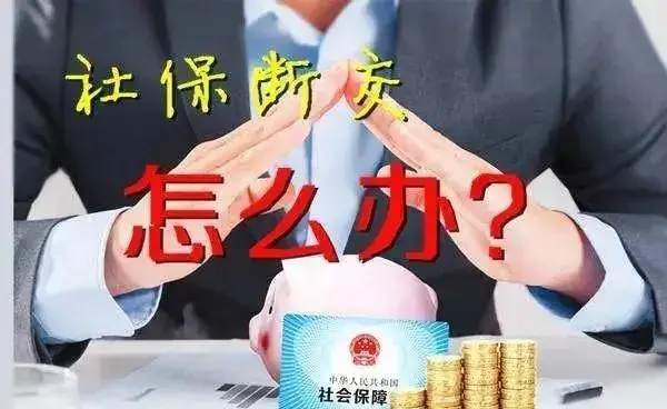 能保险补交社会保险吗_能否补缴社会保险缴费_社会保险能补交吗