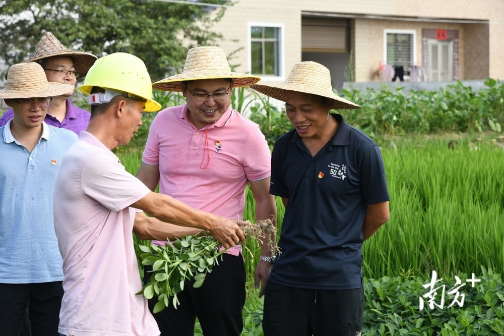 石镇街历史_石镇镇最新发展_东石镇的历史人物