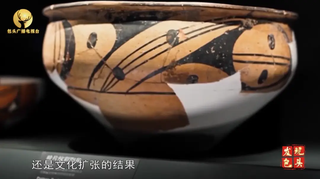 文史片_文史_文史片反