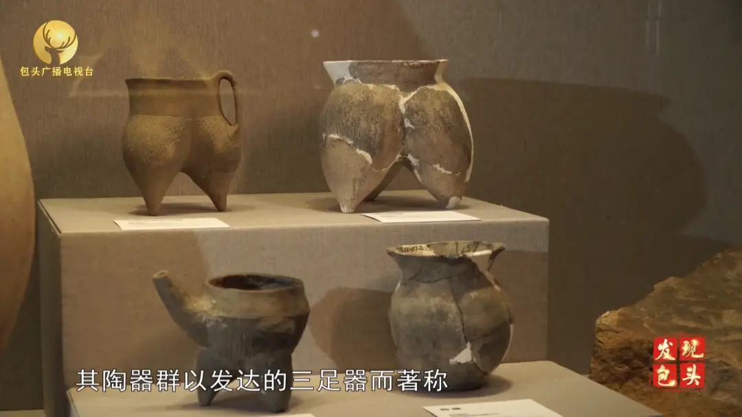 文史片_文史片反_文史