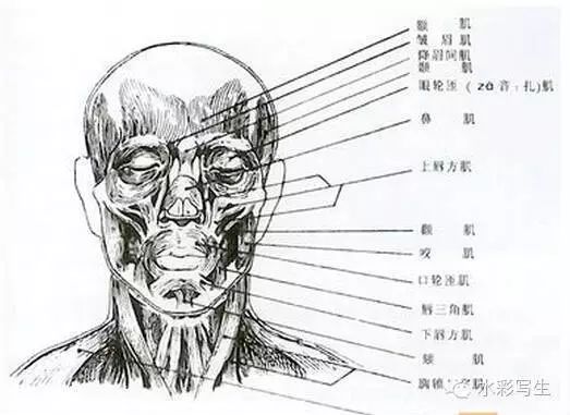 头像人物图片女生_人物头像图片_q扑克牌头像人物图片