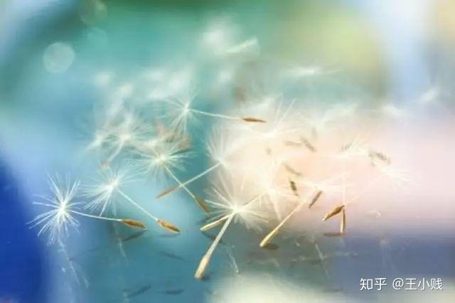 半导体研究历史_半导体历史_半导体历史研究现状