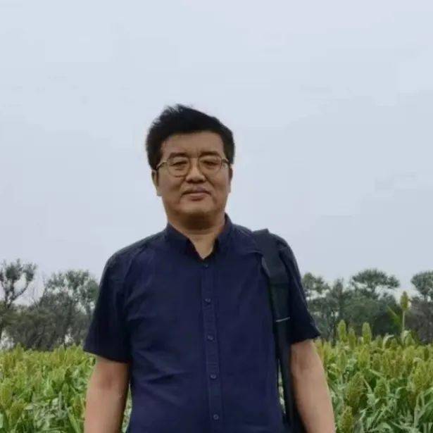 史论散文_散文史话_散文历史