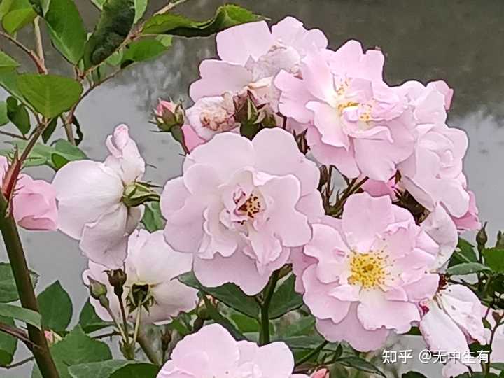 社会变迁根本原因_社会变迁的根源和机制是什么_根本变化是什么意思