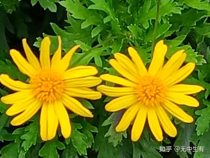 社会变迁的根源和机制是什么_社会变迁根本原因_根本变化是什么意思