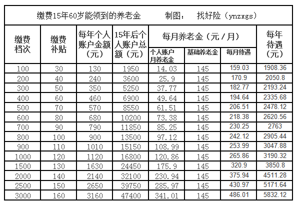 社会养老_养老社会实践报告3000字_养老社会实践心得体会