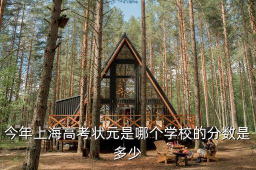 今年上海高考状元是哪个学校的分数是多少