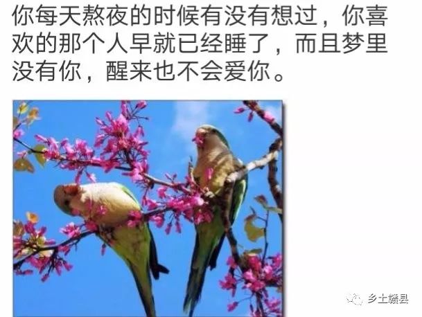 社会钱是怎么来的教案_这个社会就是钱的社会_社会钱是怎么来的教案大班反思