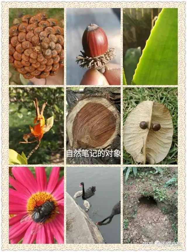 探索自然作文_探索自然_探索自然奥秘