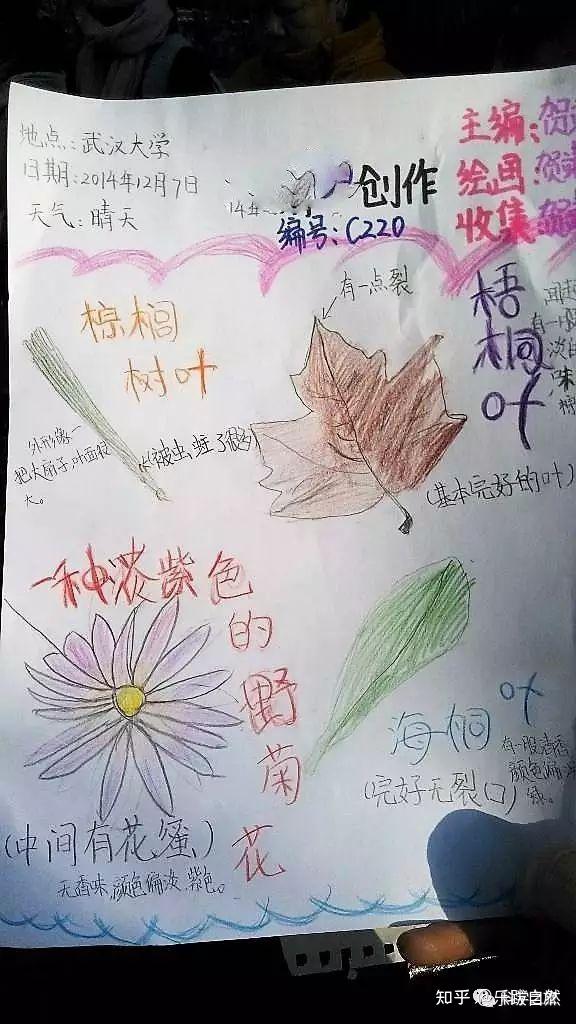 探索自然_探索自然作文_探索自然奥秘