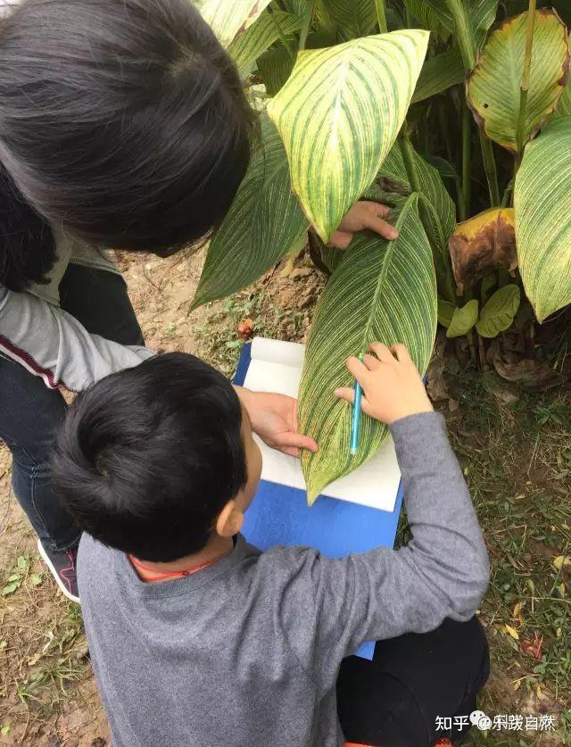 探索自然作文_探索自然奥秘_探索自然