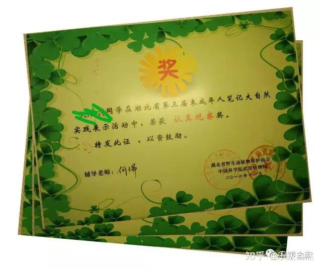探索自然作文_探索自然奥秘_探索自然