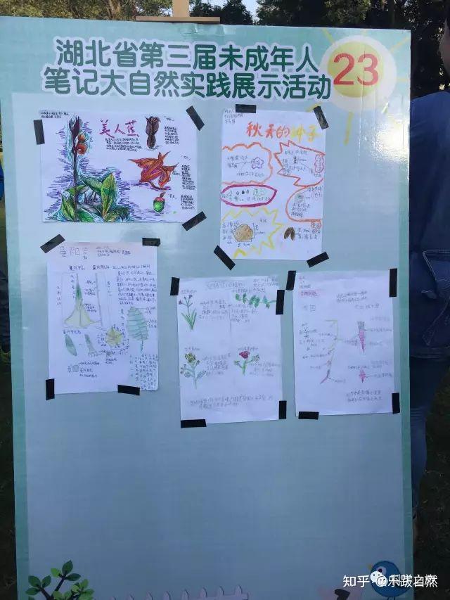 探索自然_探索自然奥秘_探索自然作文