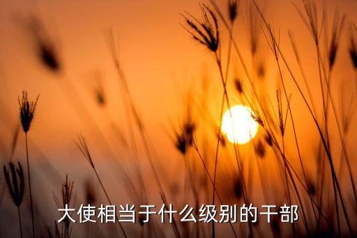 大使相当于什么级别的干部
