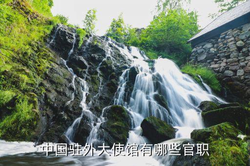 中国驻外大使馆有哪些官职