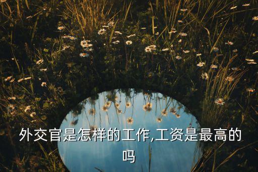  外交官是怎样的工作,工资是最高的吗