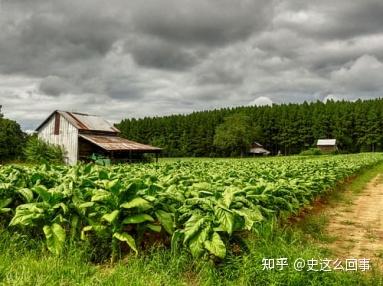 奴隶社会的法_奴隶社会的法律是什么_奴隶社会的法律条文