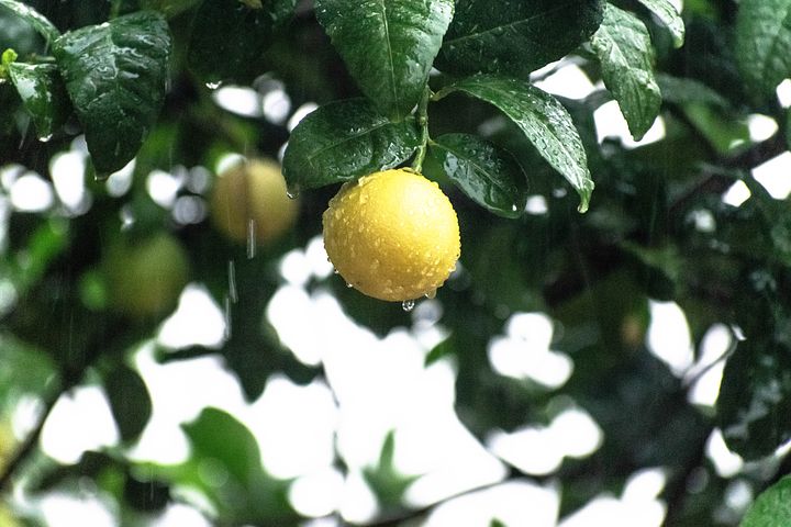 长城的来历（万里长城的由来）