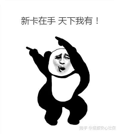 成都社会保险卡查询_保险成都查询卡社会保障卡号_成都社会保险卡个人账户查询