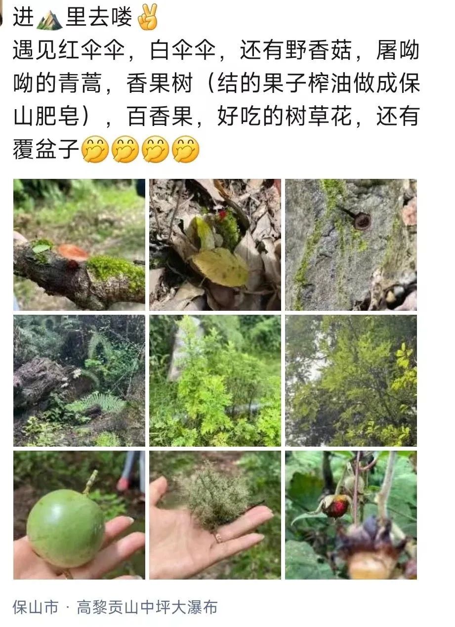 探索自然作文_探索自然奥秘_探索自然