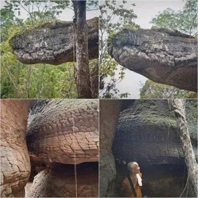 探索地球的历史_历史谁个在探索地球_探索地球奥秘的历史