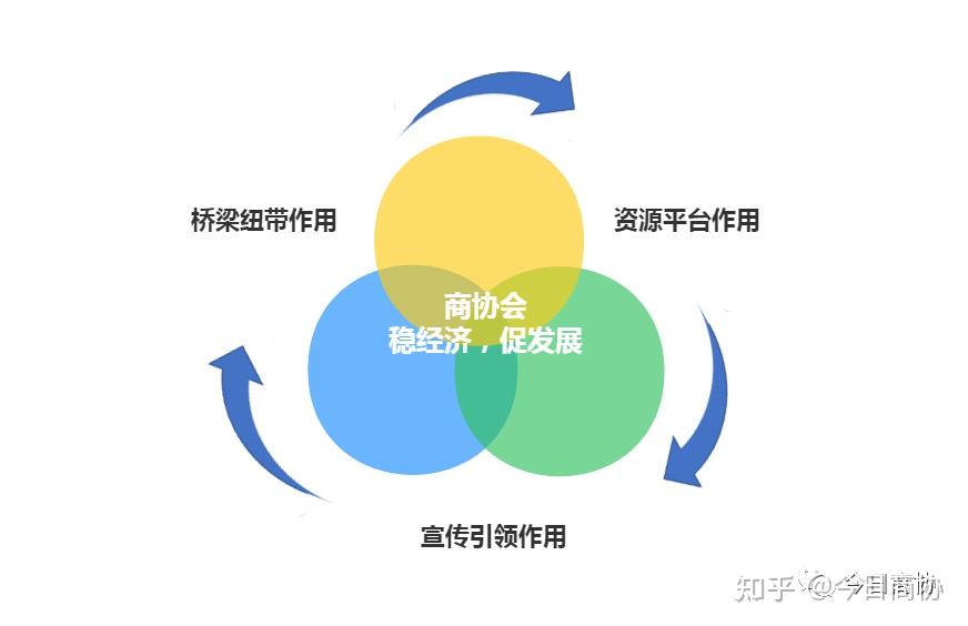 社会组织类型主要有哪几种_社会组织分类_社会组织类别是什么