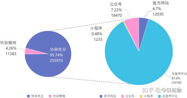 社会组织分类_社会组织类型主要有哪几种_社会组织类别是什么