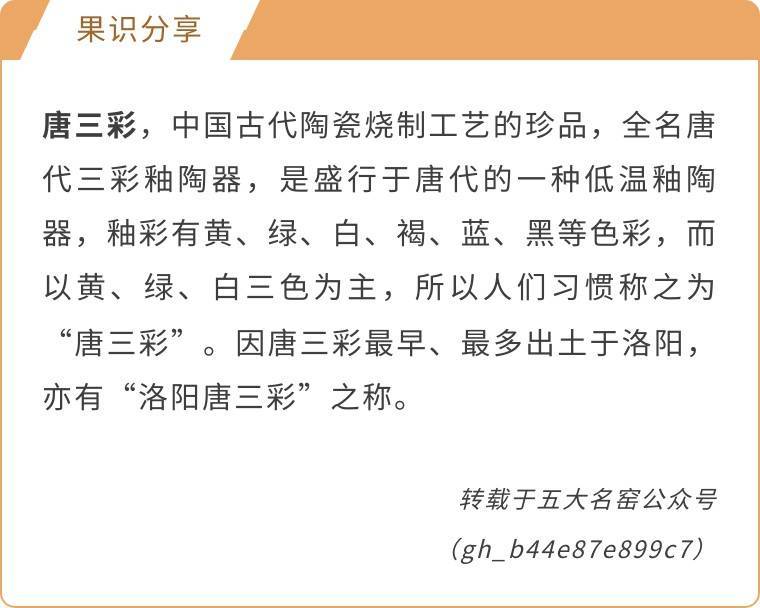 历史唐三彩图片_唐三彩的历史_历史唐三彩怎么画