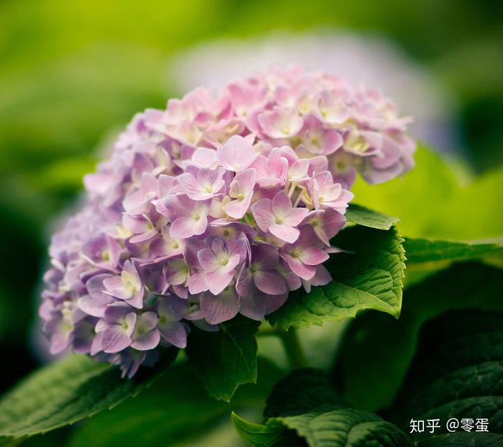 国学幼儿园_幼儿园国学堂_国学幼儿园主要学什么