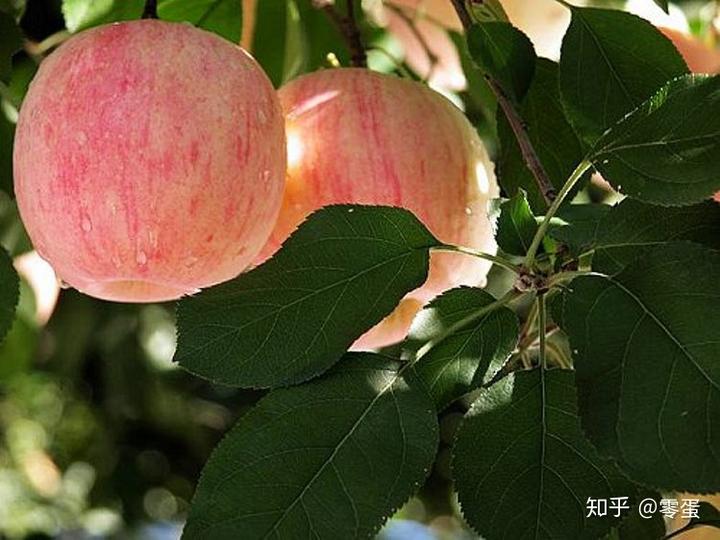 国学幼儿园主要学什么_国学幼儿园_幼儿园国学堂