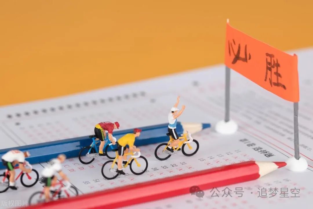 生命的社会价值_生命价值的真正实现_生命价值的概念
