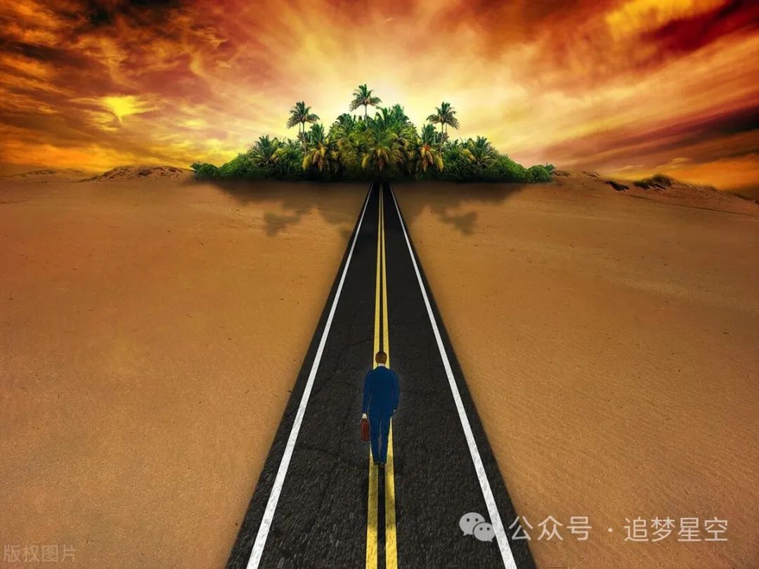 生命价值的真正实现_生命的社会价值_生命价值的概念