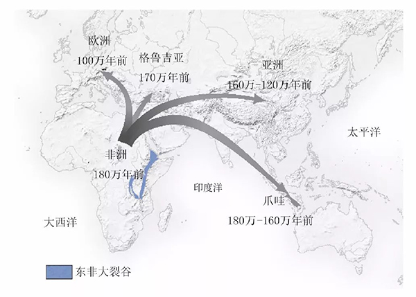 北京人的发现对于研究古人类什么的历史具有_北京古人类研究所_在北京发现的古人类