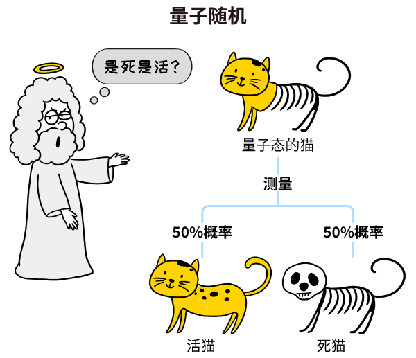 探索人类_探索人类的起源收获与感悟_探索人类的起源读后感
